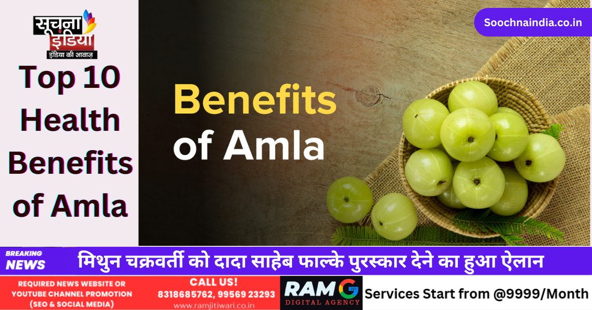Top 10 Health Benefits of Amla