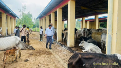 शाहजहांपुर: गौशाला की बदहाली देख डीएम गुस्साए, ग्राम सचिव किया निलंबित
