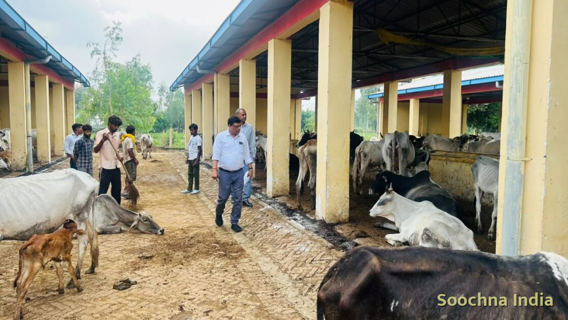 शाहजहांपुर: गौशाला की बदहाली देख डीएम गुस्साए, ग्राम सचिव किया निलंबित