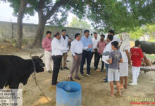 गो आश्रय स्थलों में लापरवाही पर निदेशक सख्त, बोले-फंड रिक्वेस्ट समय से पोर्टल पर अपलोड करें