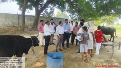 गो आश्रय स्थलों में लापरवाही पर निदेशक सख्त, बोले-फंड रिक्वेस्ट समय से पोर्टल पर अपलोड करें