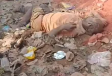 मंडी समिति के पास सड़क किनारे मिला युवक का शव,