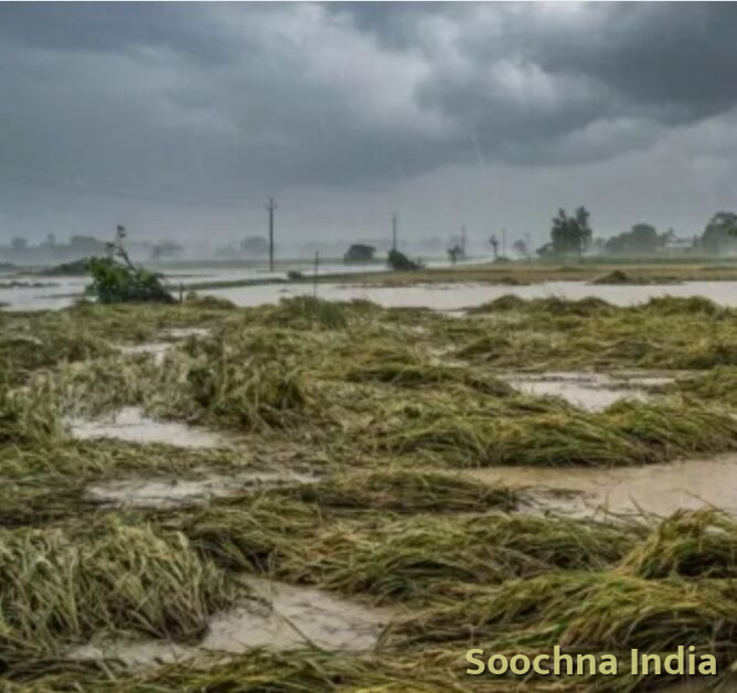 यूपी में बेमौसम बारिश ने मचाई तबाही, फसलें बर्बाद; सीएम ने 24 घंटे में नुकसान का आकलन करने को कहा